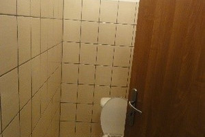 Komercyjne do wynajęcia 312m2 Poznań Górczyn - zdjęcie 3