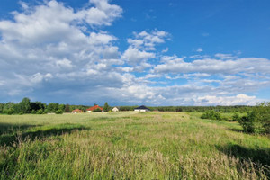 Działka na sprzedaż 1239m2 sieradzki Burzenin Strumiany - zdjęcie 1