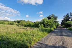 Działka na sprzedaż 1239m2 sieradzki Burzenin Strumiany - zdjęcie 3