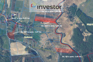 Działka na sprzedaż 4780m2 ostródzki Miłakowo Raciszewo - zdjęcie 1