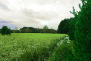 Działka na sprzedaż 18900m2 opolski Turawa Kotórz Mały - zdjęcie 3