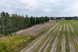 Działka na sprzedaż 800m2 opolski Komprachcice Wawelno - zdjęcie 1