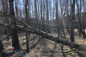 Działka na sprzedaż 1100m2 grodziski Żabia Wola Kaleń Morelowa - zdjęcie 4