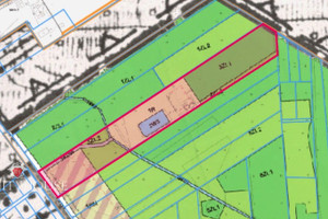 Działka na sprzedaż 29700m2 piaseczyński Góra Kalwaria Czarny Las - zdjęcie 3