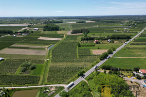 Działka na sprzedaż 74300m2 grójecki Grójec Bikówek - zdjęcie 3