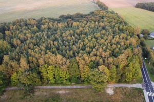 Działka na sprzedaż słupski Słupsk Głobino Przy Lesie - zdjęcie 2