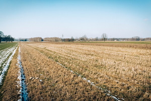 Działka na sprzedaż 1380m2 poddębicki Poddębice Bałdrzychów - zdjęcie 1