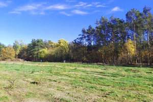 Działka na sprzedaż 1000m2 Łódź Kolumny - zdjęcie 2