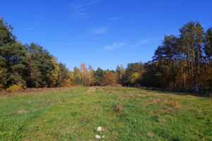 Działka na sprzedaż 1000m2 Łódź Kolumny - zdjęcie 2