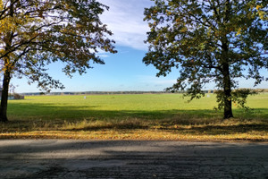 Działka na sprzedaż 1120m2 oleśnicki Oleśnica Zimnica - zdjęcie 1