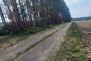 Działka na sprzedaż 633m2 zgierski Zgierz Kębliny Okopowa - zdjęcie 3