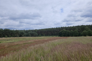 Działka na sprzedaż 1204m2 myśliborski Dębno Klepin - zdjęcie 1