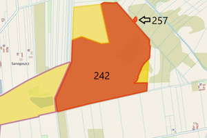 Działka na sprzedaż 210900m2 rawski Cielądz Brzozówka - zdjęcie 2