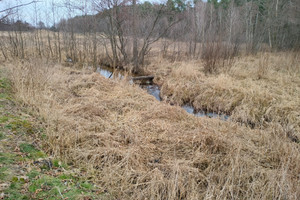 Działka na sprzedaż 6900m2 oleśnicki Oleśnica Boguszyce - zdjęcie 3