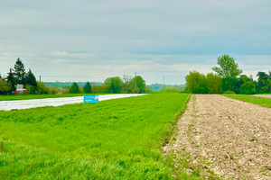 Działka na sprzedaż 11748m2 płocki Wyszogród - zdjęcie 3