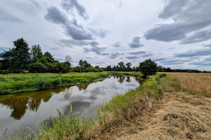 Działka na sprzedaż 15400m2 tomaszowski Rzeczyca Roszkowa Wola - zdjęcie 2