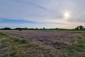 Działka na sprzedaż 19400m2 poddębicki Poddębice Dominikowice - zdjęcie 3