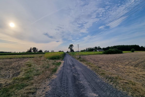 Działka na sprzedaż 600m2 poddębicki Poddębice Dominikowice - zdjęcie 2