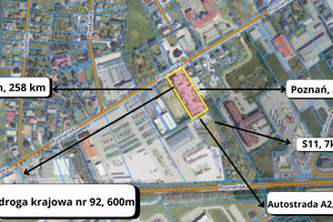 Działka na sprzedaż 5495m2 poznański Tarnowo Podgórne Poznańska - zdjęcie 3