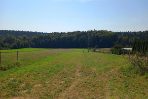 Działka na sprzedaż 5000m2 kielecki Nowa Słupia Trzcianka - zdjęcie 2