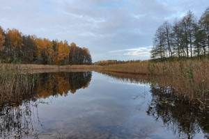 Działka na sprzedaż 40050m2 szczycieński Świętajno Piasutno - zdjęcie 2