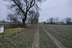 Działka na sprzedaż 36500m2 oleśnicki Oleśnica Poniatowice - zdjęcie 1