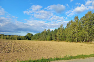 Działka na sprzedaż 2217m2 brzeziński Brzeziny Syberia - zdjęcie 3