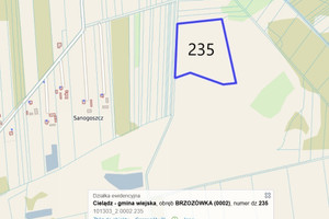 Działka na sprzedaż 37800m2 rawski Cielądz Brzozówka - zdjęcie 2