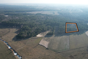 Działka na sprzedaż 11700m2 ostrołęcki Kadzidło Golanka - zdjęcie 2