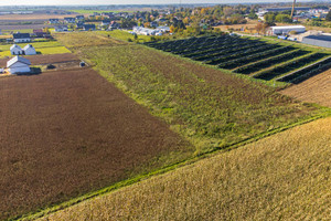 Działka na sprzedaż 877m2 oleśnicki Dobroszyce Nowica - zdjęcie 2