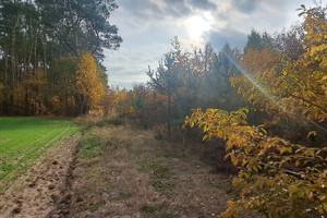 Działka na sprzedaż 30060m2 makowski Szelków Stary Strachocin - zdjęcie 1