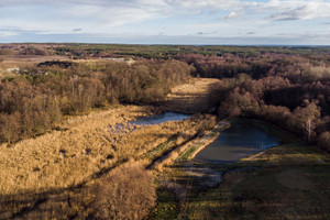 Działka na sprzedaż 1469m2 żarski Żary Bociania - zdjęcie 3