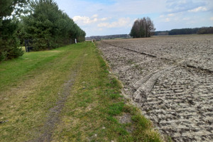 Działka na sprzedaż 3256m2 zgierski Zgierz Kębliny - zdjęcie 3