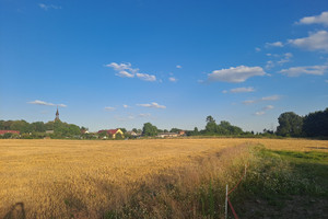 Działka na sprzedaż 3162m2 szamotulski Wronki Biezdrowo - zdjęcie 1