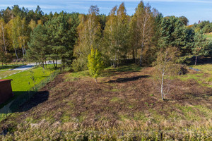 Działka na sprzedaż 1500m2 oleśnicki Dobroszyce Białe Błoto Dereniowa - zdjęcie 1