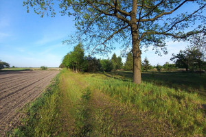 Działka na sprzedaż 18923m2 zgierski Głowno Wola Zbrożkowa - zdjęcie 2