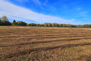 Działka na sprzedaż 1037m2 bełchatowski Zelów Grabostów - zdjęcie 3