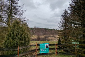 Działka na sprzedaż 6900m2 oleśnicki Oleśnica Boguszyce - zdjęcie 1