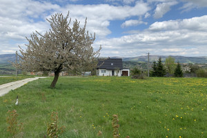 Działka na sprzedaż 1800m2 kłodzki Nowa Ruda Kołowa - zdjęcie 3