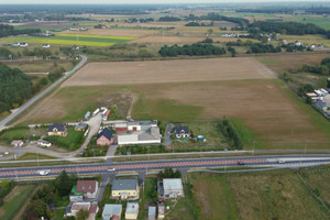 Działka na sprzedaż 50000m2 bydgoski Nowa Wieś Wielka Tarkowo Dolne - zdjęcie 1