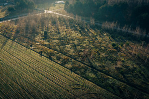 Działka na sprzedaż 1490m2 łęczycki Piątek Konarzew - zdjęcie 1