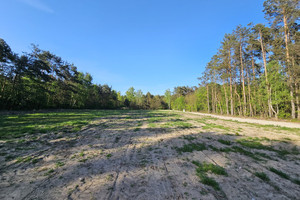 Działka na sprzedaż 950m2 Łódź Kolumny - zdjęcie 4