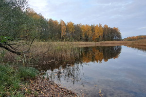 Działka na sprzedaż 40050m2 szczycieński Świętajno Piasutno - zdjęcie 3