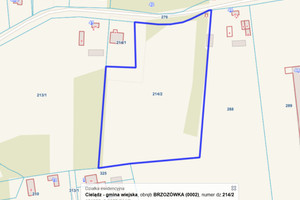 Działka na sprzedaż 15500m2 rawski Cielądz Brzozówka - zdjęcie 2