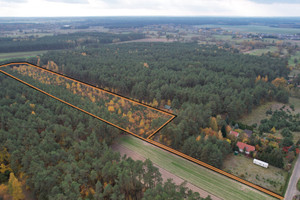 Działka na sprzedaż 30060m2 makowski Szelków Stary Strachocin - zdjęcie 2