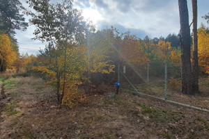 Działka na sprzedaż 30060m2 makowski Szelków Stary Strachocin - zdjęcie 3