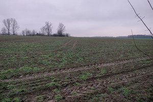 Działka na sprzedaż 36500m2 oleśnicki Oleśnica Poniatowice - zdjęcie 2