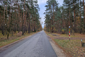 Działka na sprzedaż 1200m2 zgierski Głowno Helenów - zdjęcie 3