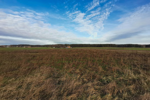 Działka na sprzedaż 1551m2 zduńskowolski Zduńska Wola Wojsławice - zdjęcie 4