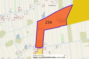 Działka na sprzedaż 125400m2 rawski Cielądz Brzozówka - zdjęcie 2